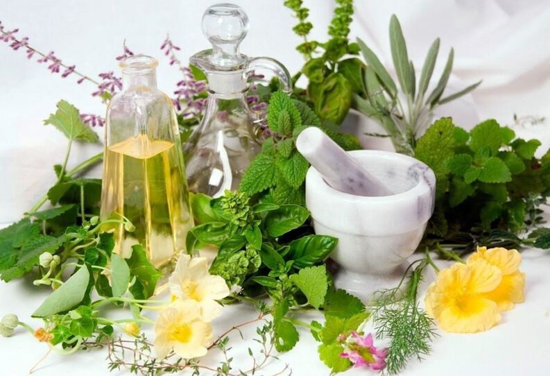 Various medicinal herbs to compress for varicose veins